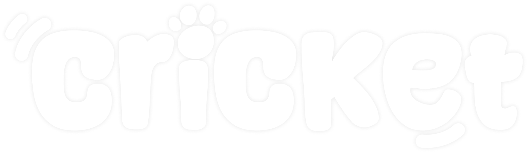 Cricket